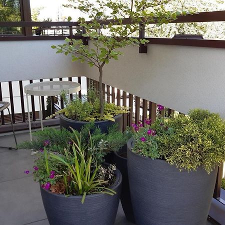 4Four Apartment, Villa Moderno, Taras, Parking Podziemny Torun Exterior photo
